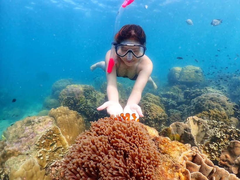 Snorkel & Chill: Nemo Island Trip from Pattaya - Who Will Enjoy This Pattaya Snorkeling Trip?