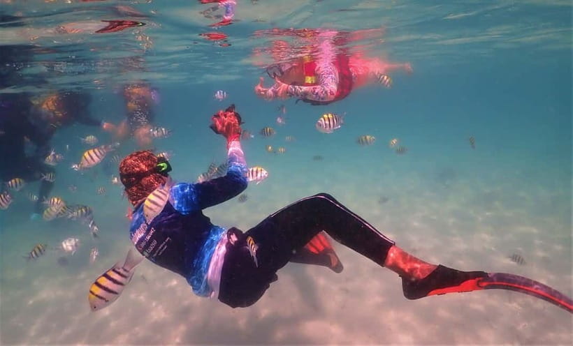 Snorkel & Chill: Nemo Island Trip from Pattaya - Practical Tips for a Better Afternoon