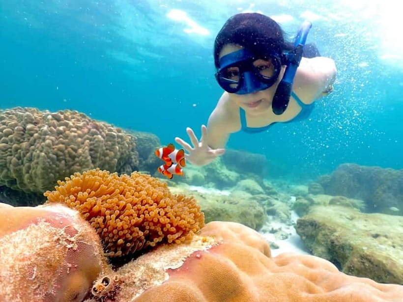 Snorkel & Chill: Nemo Island Trip from Pattaya - Koh Chuang and Koh Jan: Snorkeling Without a Beach Stop