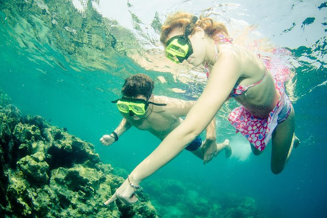 Snorkeling Adventure at Koh Chang – Departing from Koh Chang - Starting at BB Divers at 8:00 am