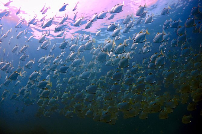 Snorkeling ( start at Ko Kut) - What This Koh Kood Boat Trip Is Really Like