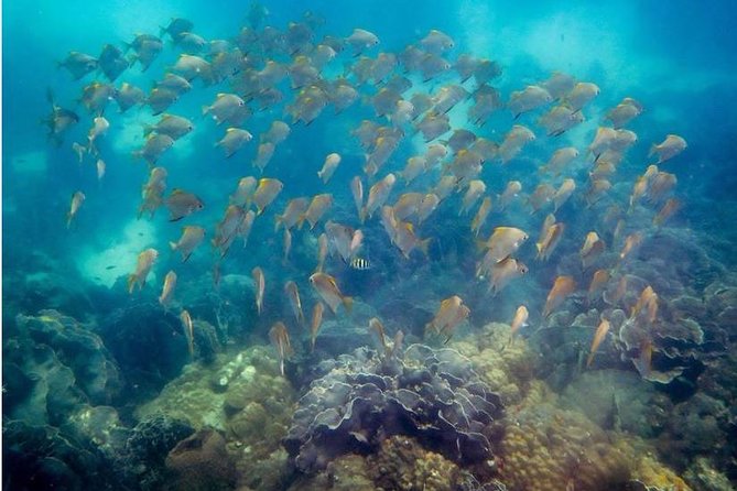 Snorkeling ( start at Ko Kut) - The Wooden Boat Ride and Coastal Views