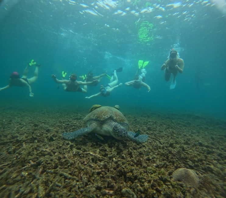 Snorkeling Tour with meals and BBQs - Cocktail - Sunset⭐⭐⭐⭐⭐ - Pickup, boat comfort, and the seven-hour rhythm