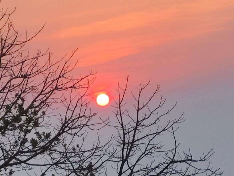 Spiritual Sunrise Wat Doi Suthep, Pha Lat, Alms & Meditation - A 5:00 am start that earns its place