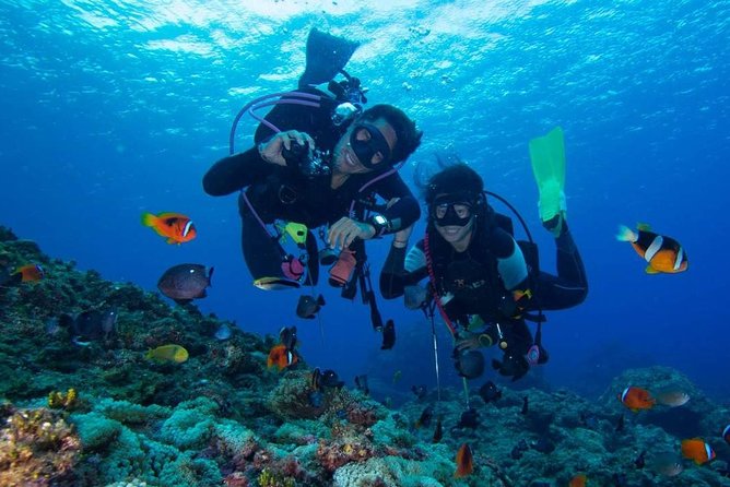 SSI | Padi Open Water Course in Phuket - What the three days are really like