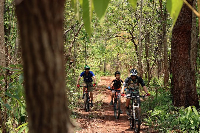 Sticky Waterfall Cycling Tour - Who should book this cycling day?