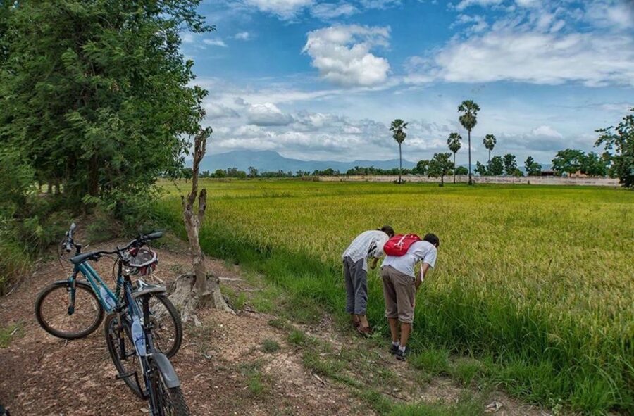 Sukhothai: Half-Day Countryside Bike Tour - Following the irrigation canal to a wood workshop