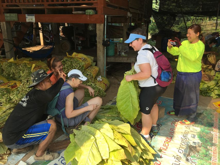 Sukhothai: Half-Day Countryside Bike Tour - Dirt roads through Sukhothai’s rice paddies