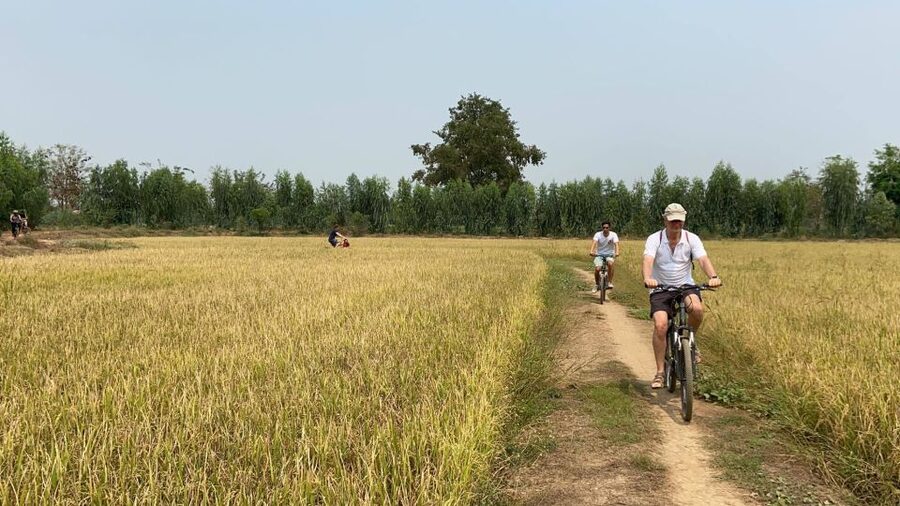 Sukhothai: Half-Day Countryside Bike Tour - Lunch, snacks, and the useful extras