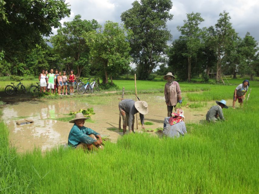 Sukhothai: Half-Day Countryside Bike Tour - Guide style and the personal feel of the tour