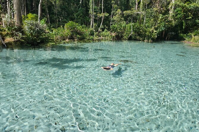 Surin Islands Snorkel Tour by SeaStar Andaman from Khao Lak - Lunch, fruit, and the food setup