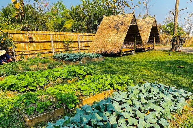 Team Aim Thai Cooking School (#1 Cooking Class in Chiang Mai) - Is $34.01 Good Value?