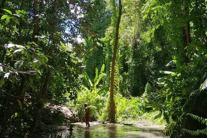 The Best Full Day Tour: Doi Suthep, Wat Phalat, Sticky Waterfall - Wat Pha Lat: the peaceful forest pause