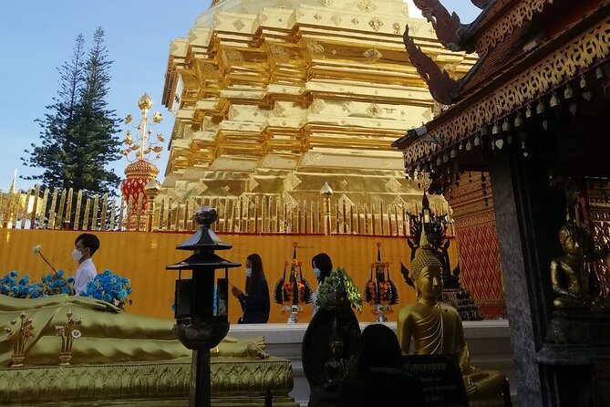 The Best Full Day Tour: Doi Suthep, Wat Phalat, Sticky Waterfall - Bua Thong Sticky Waterfall: the active finale