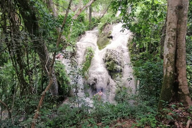 The Best Full Day Tour: Doi Suthep, Wat Phalat, Sticky Waterfall - What the small group size changes