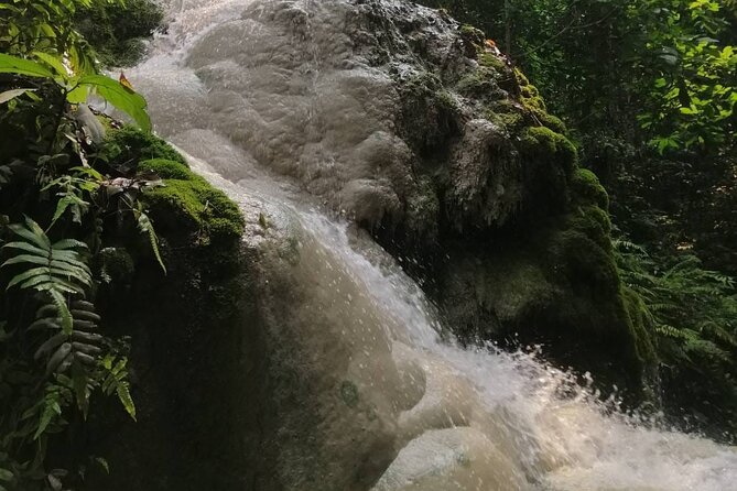 The Best Full Day Tour: Doi Suthep, Wat Phalat, Sticky Waterfall - Food, flexibility, and the pace of the day