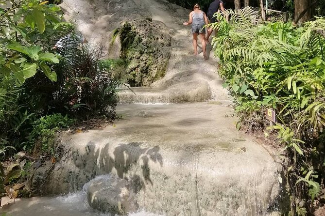 The Best Full Day Tour: Doi Suthep, Wat Phalat, Sticky Waterfall - Who should book this tour?