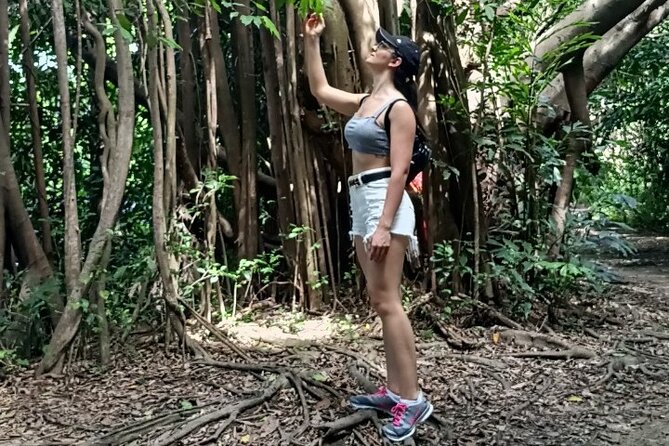 The Original Bicycle Tour in the Green Jungle of Bangkok - Why Bang Kachao makes such a good Bangkok escape