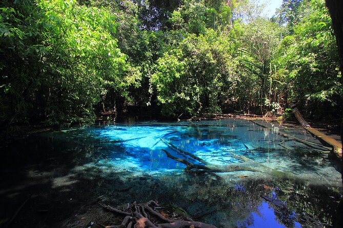 Tiger Cave Temple, Emerald Pool & Hot Springs Tour from Krabi - Why this Krabi day trip works