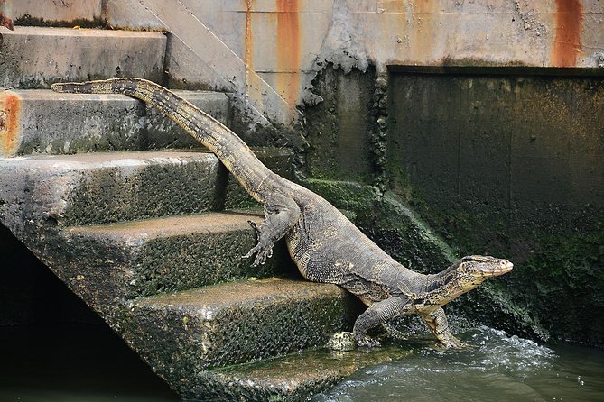 Timeless Thonburi Canal and Food Tour - Northeastern soup and Thai dessert in Bangkok