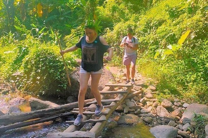 Top Pick - Full or Half Day @Elephant in Wild Sanctuary ChiangMai - Key points at a glance