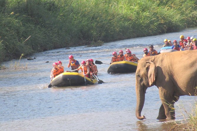 Top Pick - Full or Half Day @Elephant in Wild Sanctuary ChiangMai - Full day or half day?