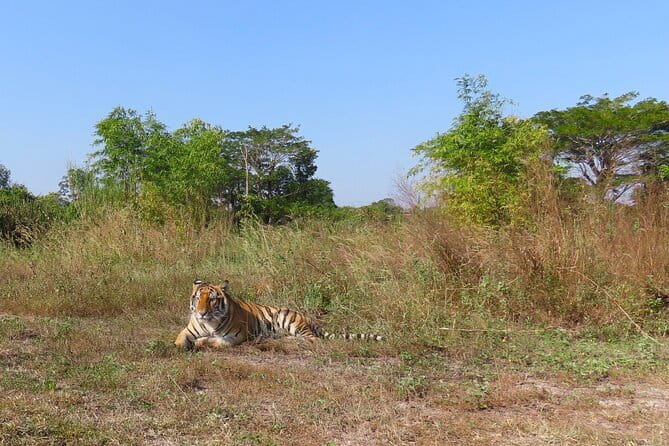 Tour of the Wildlife Rescue Center - Key points to know before booking