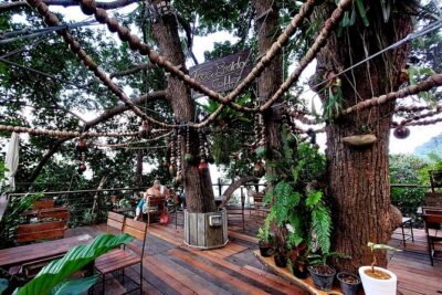 Tree Bridge Cafe And Zipline – Jungle Flight Adventure in Koh Samui