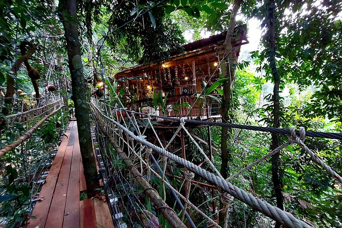 Tree Bridge Cafe And Zipline - Jungle Flight Adventure in Koh Samui - The first zip lines build your confidence
