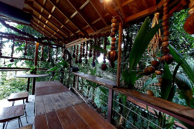 Tree Bridge Cafe And Zipline - Jungle Flight Adventure in Koh Samui - Is the $55.77 price good value?