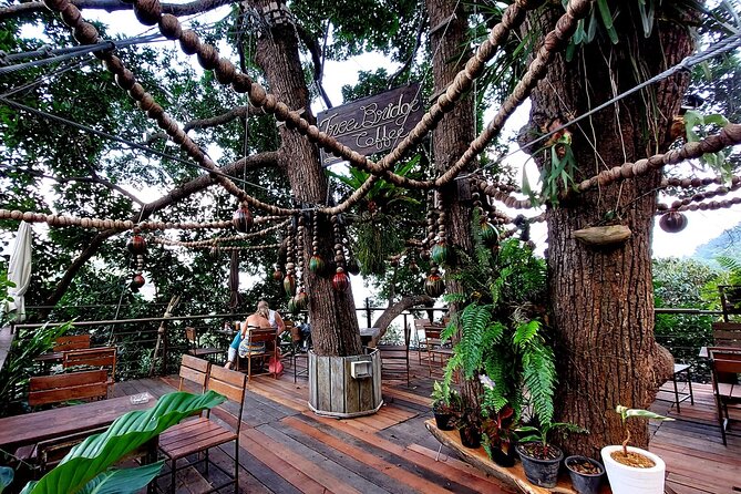 Tree Bridge Cafe And Zipline - Jungle Flight Adventure in Koh Samui - From hotel pickup to the Mae Nam forest