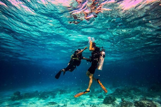 Try Scuba Diving - Timing, meeting point, and the shape of the day
