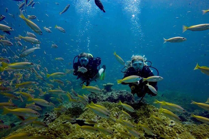 Try Scuba Diving - The boat to Nang Yuan Island