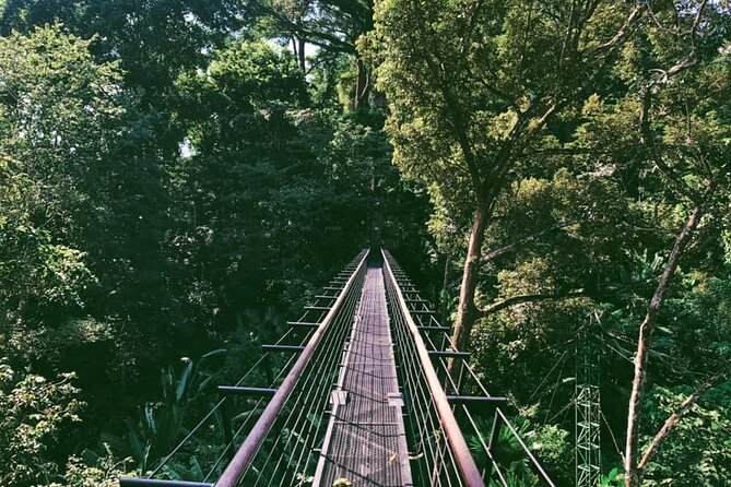 World B+ (Zipline 18 Platforms + Roller + Sky Walk with World Set Menu ) - The 800-meter jungle roller coaster