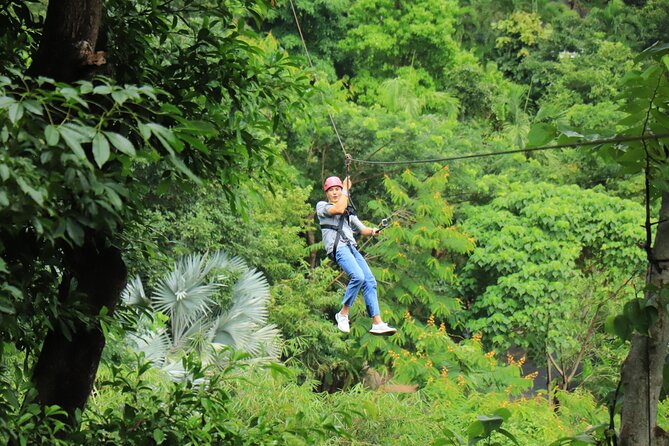 World C+ (Ziplines 10 Platforms + Roller + Sky Walk and World Set Menu ) - Abseiling and the spiral staircase