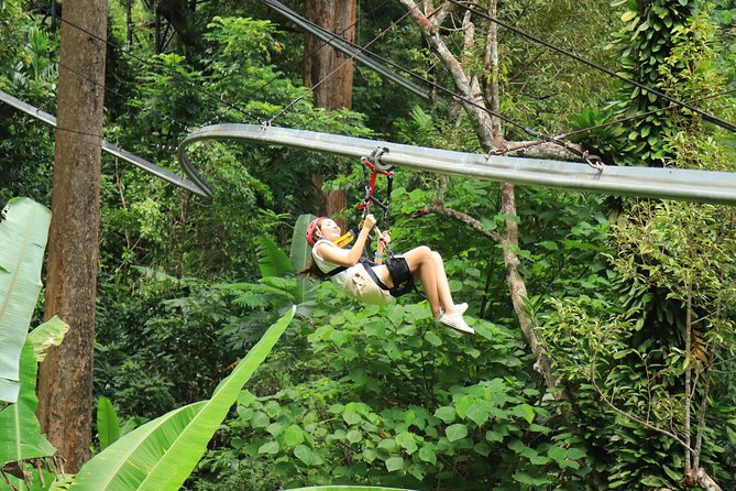 World C+ (Ziplines 10 Platforms + Roller + Sky Walk and World Set Menu ) - Is $81.17 a fair price?