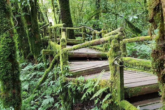 Wow! Doi Inthanon National Park Adventure, Lunch & Entry Included - Wachirathan Falls: a powerful first stop
