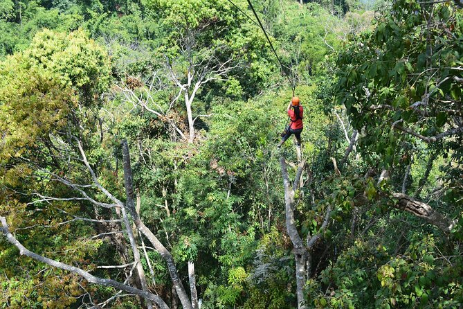 Zipline Adventure at Skyline Jungle Luge Chiang Mai - Luge, Swing, and Other Activity Notes