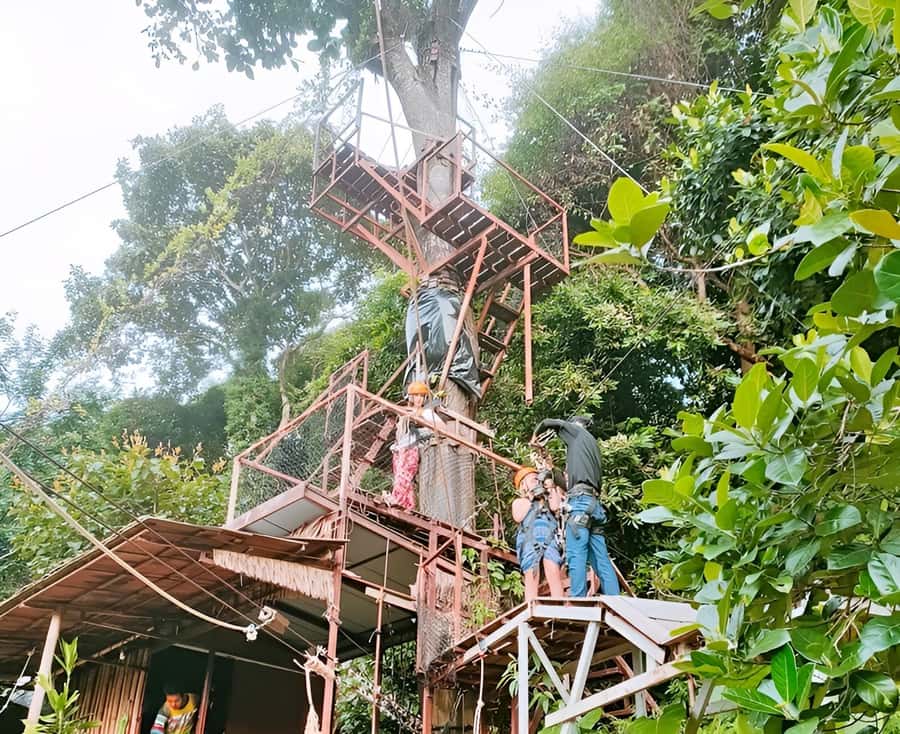 Zipline in Koh Samui Adventure activity tour - Five Things To Know Before You Book