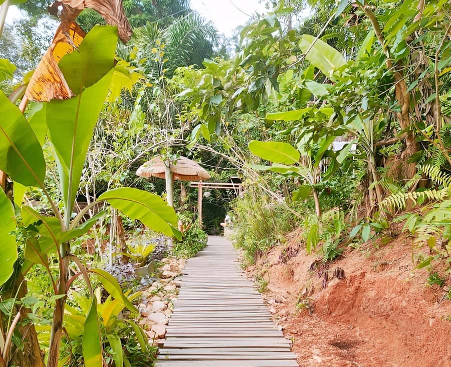 Zipline in Koh Samui Adventure activity tour - Timing, Weather, and What to Pack