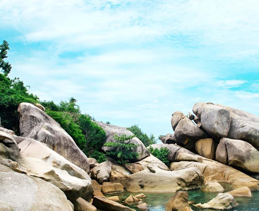 Zipline in Koh Samui Adventure activity tour - The Safety Briefing and PETZL Gear