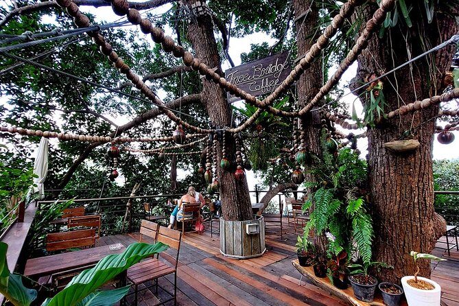 Zipline Ride on Koh Samui - The Staff Make the Difference