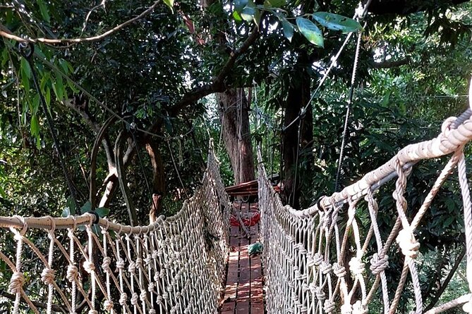 Zipline Ride on Koh Samui - Timing, Group Size, and What to Wear
