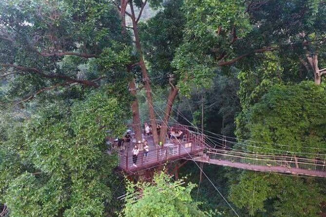 Zipline Ride on Koh Samui - Is $74.76 a Fair Price?